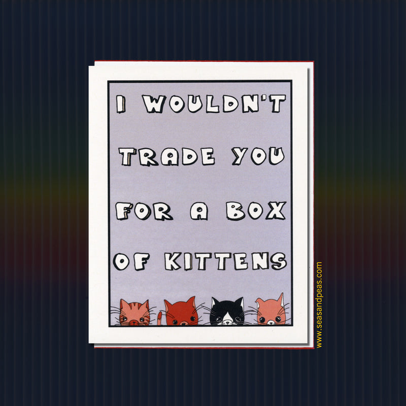 Box of Kittens Love Card - Seas and Peas